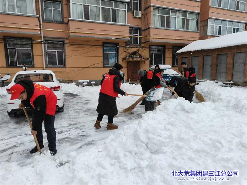 星河社区开展“扫雪除冰 志愿先行”活动(图1)