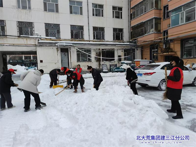 星河社区开展“扫雪除冰 志愿先行”活动(图2)