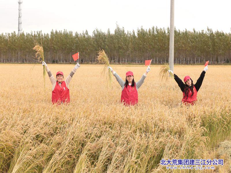欣园社区开展“青春与国旗同框 助农现场绽放光彩”活动(图2)