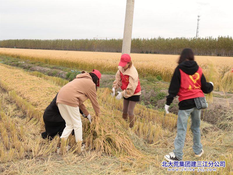 欣园社区开展“青春与国旗同框 助农现场绽放光彩”活动(图3)