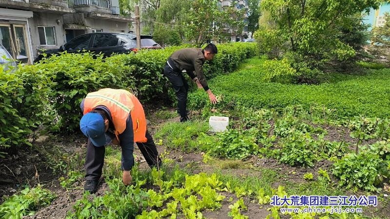 大兴农场有限公司常态化护绿 整治圈占毁绿 实现还绿于民(图2)