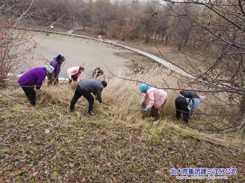 大兴农场有限公司清理枯枝落叶 防患未然保安全(图2)