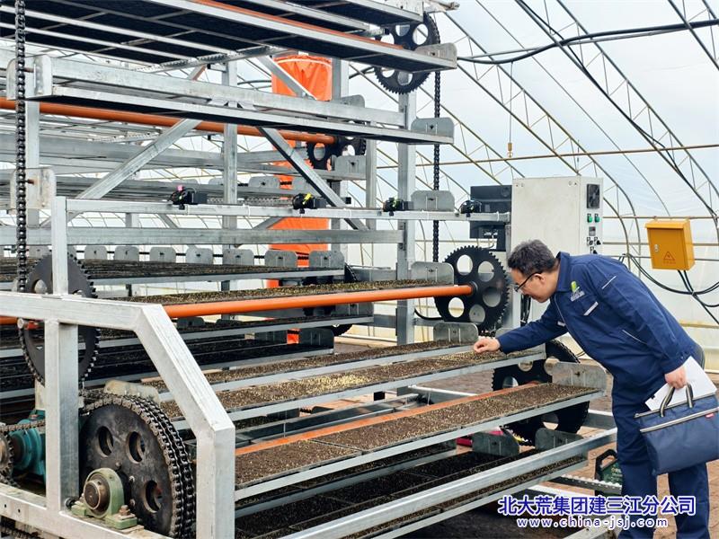 七星农场有限公司智能化立体育秧技术革新 引领农业迈向智能新时代​(图2)