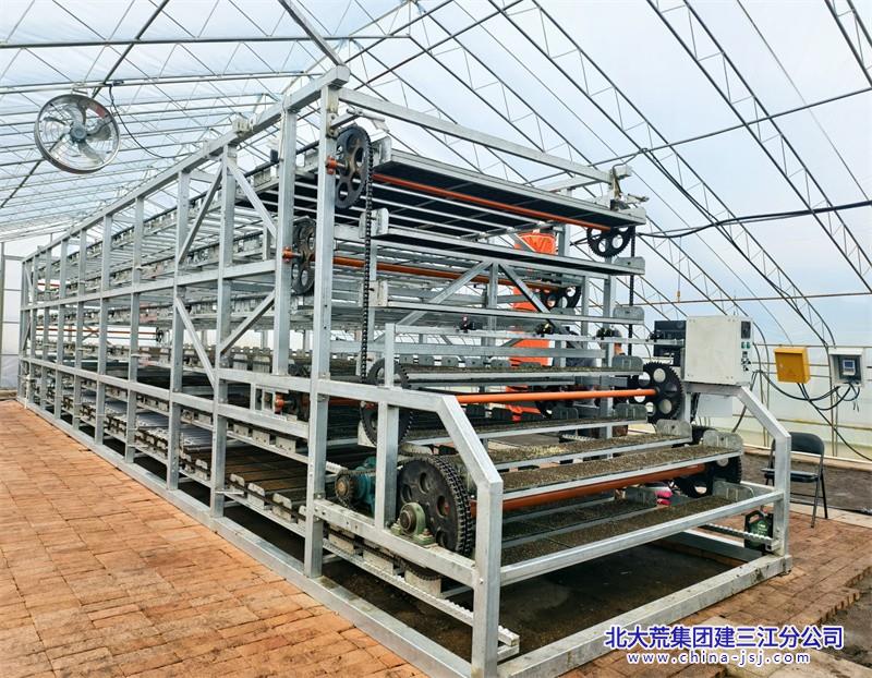 七星农场有限公司智能化立体育秧技术革新 引领农业迈向智能新时代​(图3)