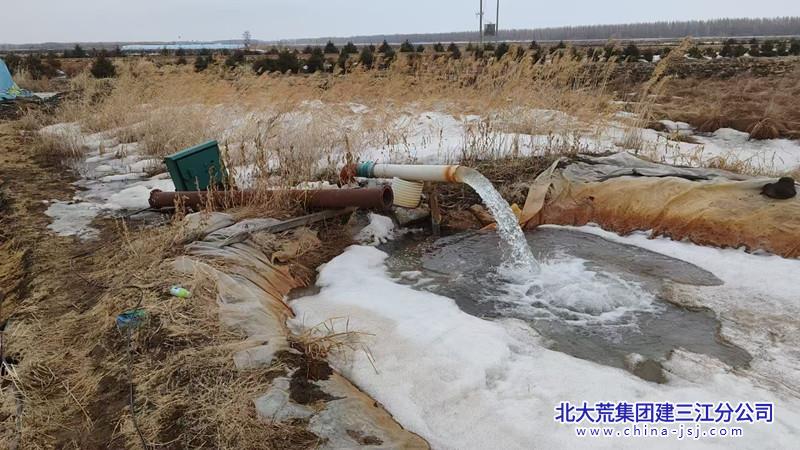前锋农场有限公司抢抓农时全力推进抽水泡田作业(图1)