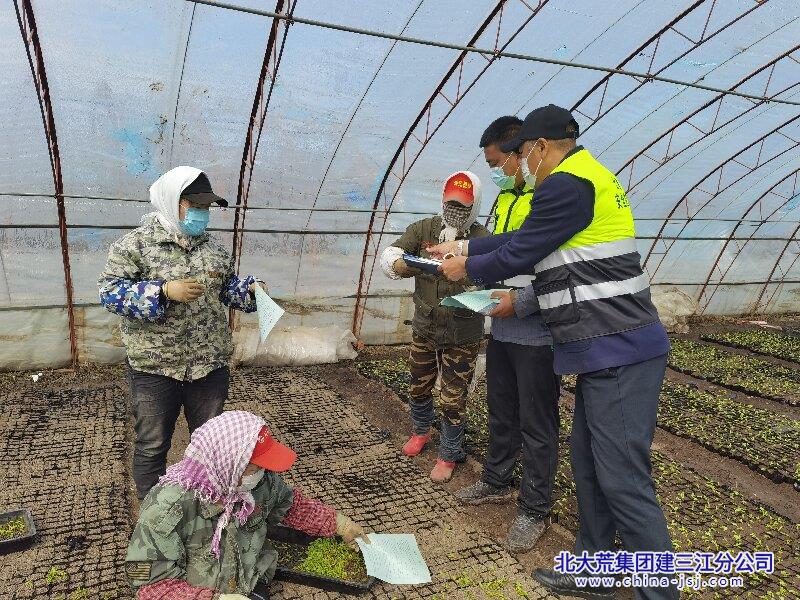七星农场有限公司开展春季病虫害防治行动 守护绿色长廊(图2)