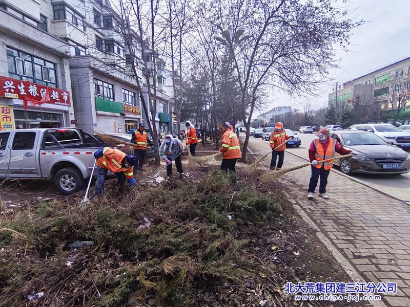 七星农场有限公司社区开展春季环境卫生综合治理专项行动(图1)