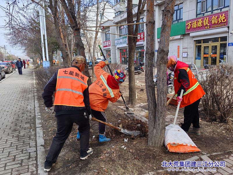 七星农场有限公司社区开展春季环境卫生综合治理专项行动(图2)