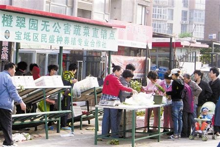 天津无公害蔬菜直销受欢迎(图)(图1) 天津无公害蔬菜直销受欢迎(图)(图1)