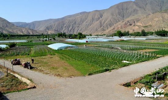 天水市山丹乡助推车岸蔬菜产业园区发展(图)(图1) 天水市山丹乡助推车岸蔬菜产业园区发展(图)(图1)