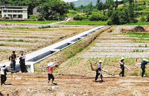 重庆铜梁:投资建高标准蔬菜基地(图)(图1) 重庆铜梁:投资建高标准蔬菜基地(图)(图1)