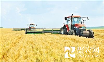 黑龙江垦区秋收大幕拉开 粮食总产将达435亿斤(图1) 黑龙江垦区秋收大幕拉开 粮食总产将达435亿斤(图1)