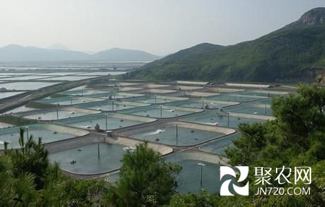陕西商洛市洛河水岸生态苑成为新兴渔业基地(图1) 陕西商洛市洛河水岸生态苑成为新兴渔业基地(图1)