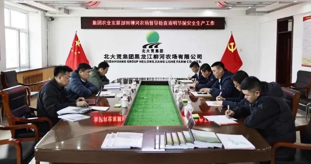 北大荒集团农业发展部到柳河农场督导检查清明节前农业安全生产工作(图1)