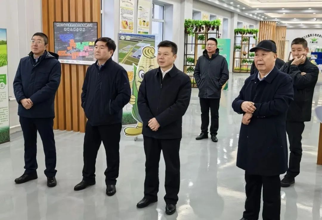 杨再胜带队到海伦、青冈考察鲜食玉米产业(图2)