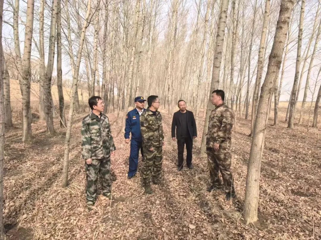 清明防火不松懈！肇源农场多维联动筑牢森林防火安全屏障(图1)