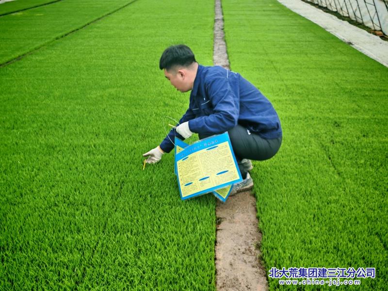 微信图片_20250417071754_副本.jpg