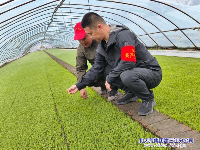 微信图片_20250417080808.jpg