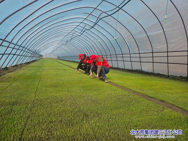 微信图片_2025-04-16_140748_077.jpg