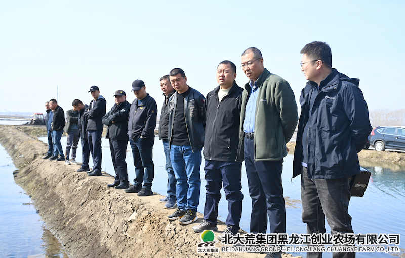 创业农场有限公司召开泡田整地现场会
                            (图2)