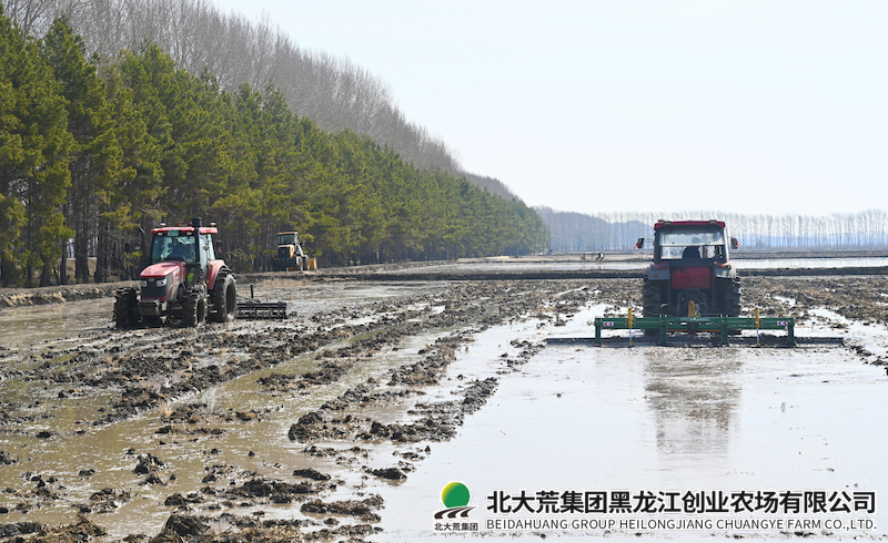 创业农场有限公司召开泡田整地现场会
                            (图3)