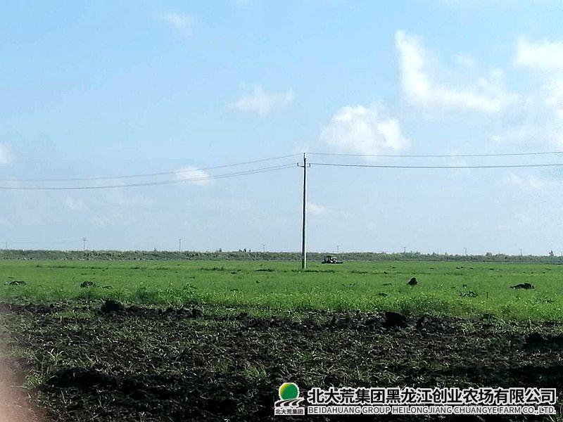 畜牧水产科全力提升畜牧科技创新能力
                            (图1)
