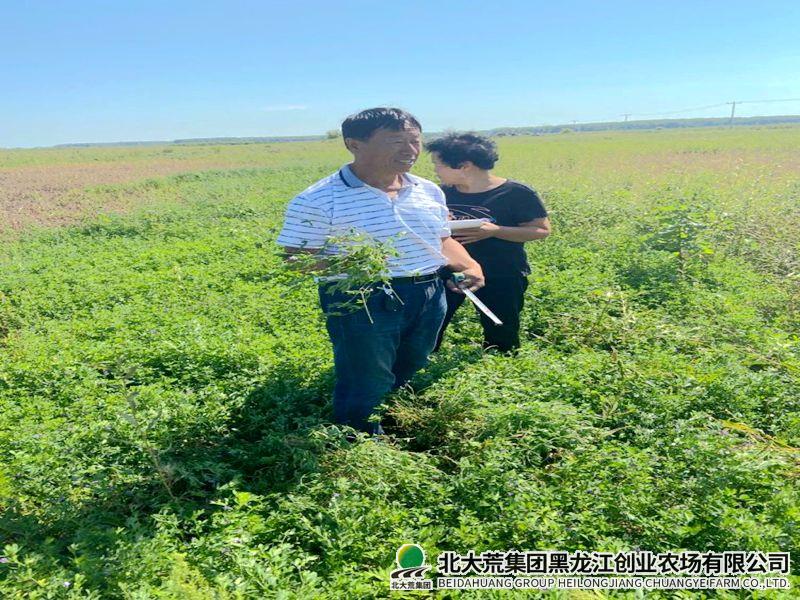 畜牧水产科全力提升畜牧科技创新能力
                            (图2)