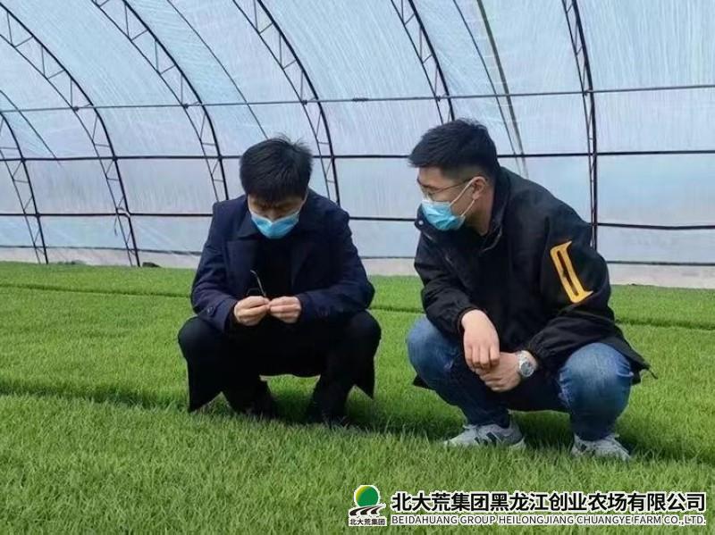 创业农场有限公司做好水稻“加减法”念好科技“致富经”
                            (图1)