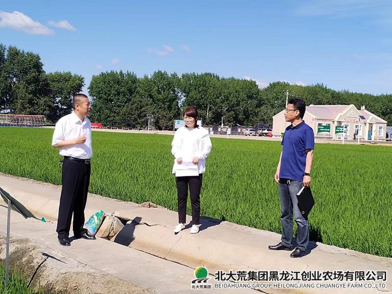 建三江分公司种子管理局一行到创业农场有限公司检查指导工作
                            (图1)