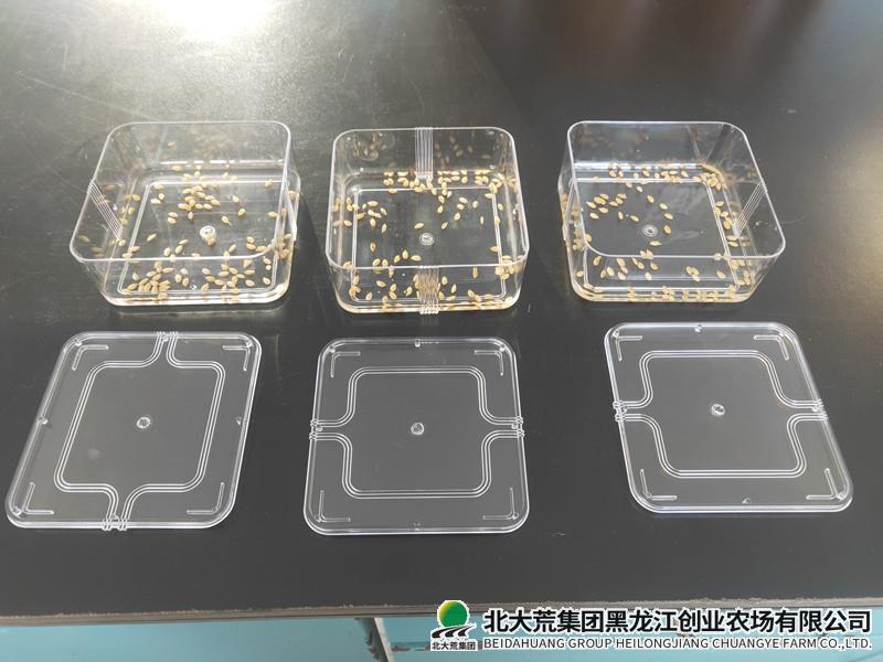 创业科学筛选良种 助力农业丰产丰收
                            (图1)