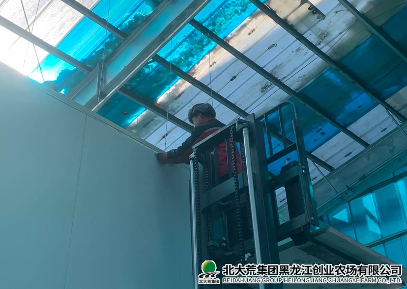 创业农场有限公司加快推进叠盘暗示建设 为现代化农业添动力
                            (图1)