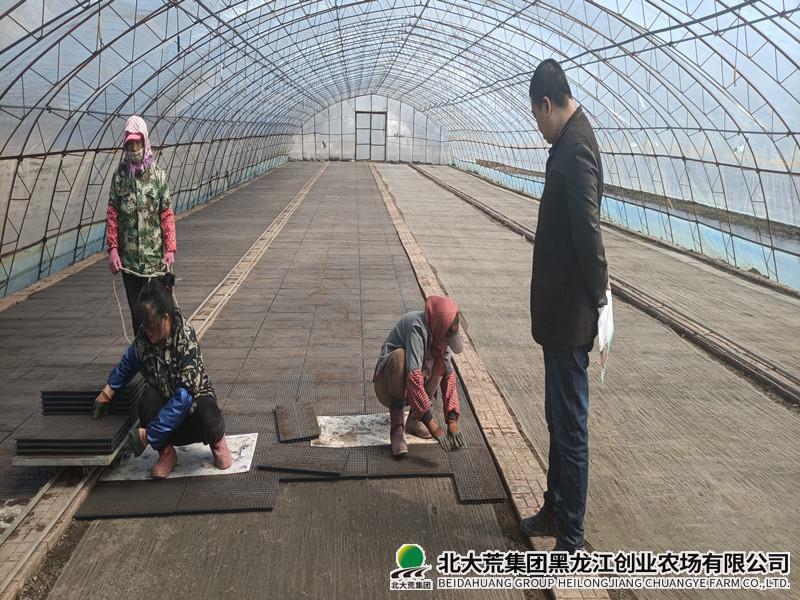 农业科技服务中心开展钵育摆栽试验播种工作
                            (图1)