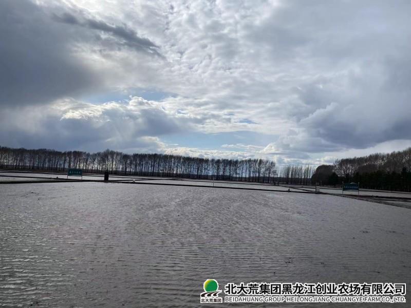 农业科技园区全面完成泡田整地工作
                            (图2)