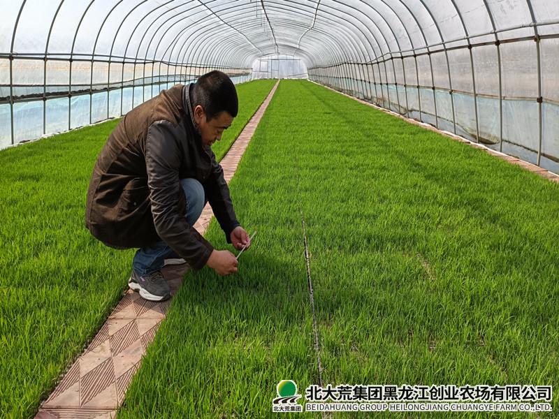 IMG_20220430_084838_副本.jpg