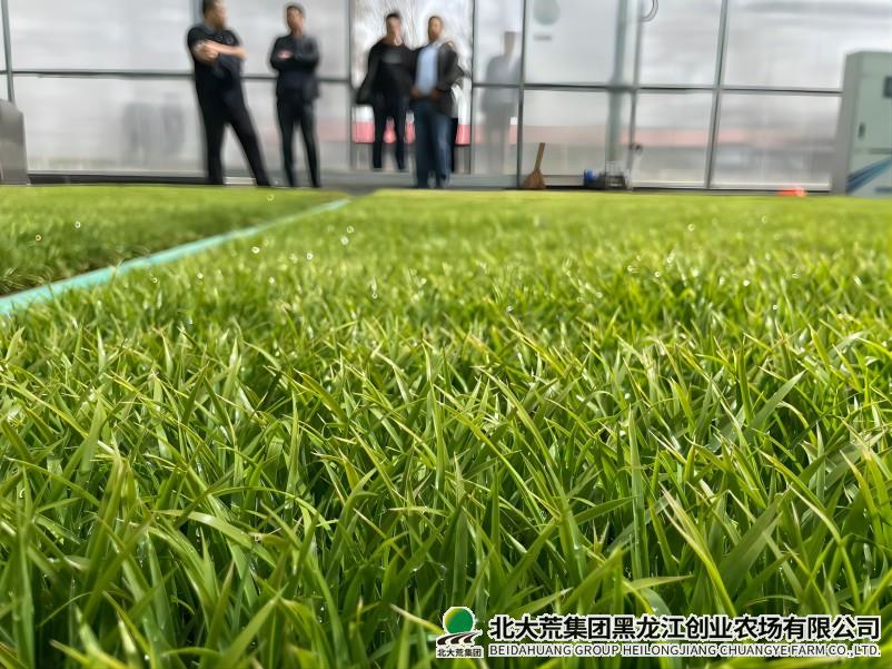 创业农场有限公司开展水稻节水控制灌溉技术宣传
                            (图2)
