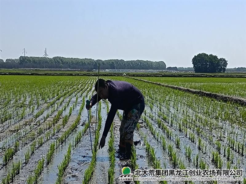 IMG_20220607_084802_副本.jpg