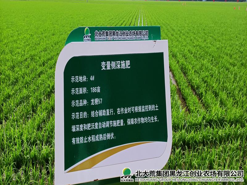 创业打造科技“先行示范”展示田 强化农业科技带动
                            (图2)