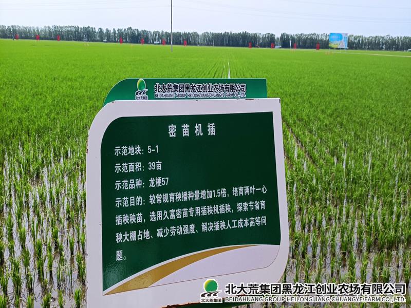 创业打造科技“先行示范”展示田 强化农业科技带动
                            (图1)