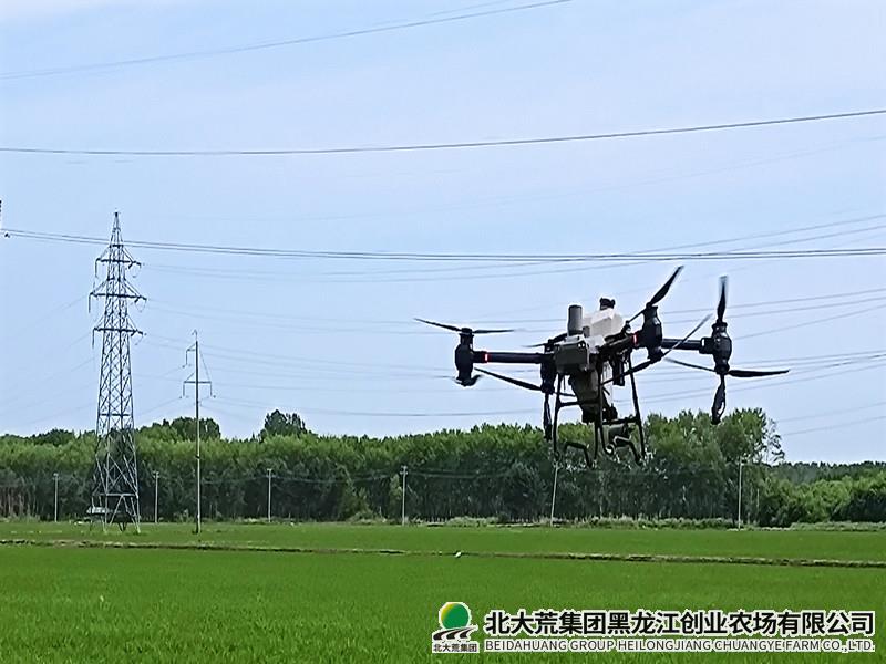 创业农场有限公司精细夏管育壮苗 科技赋能促增产
                            (图1)