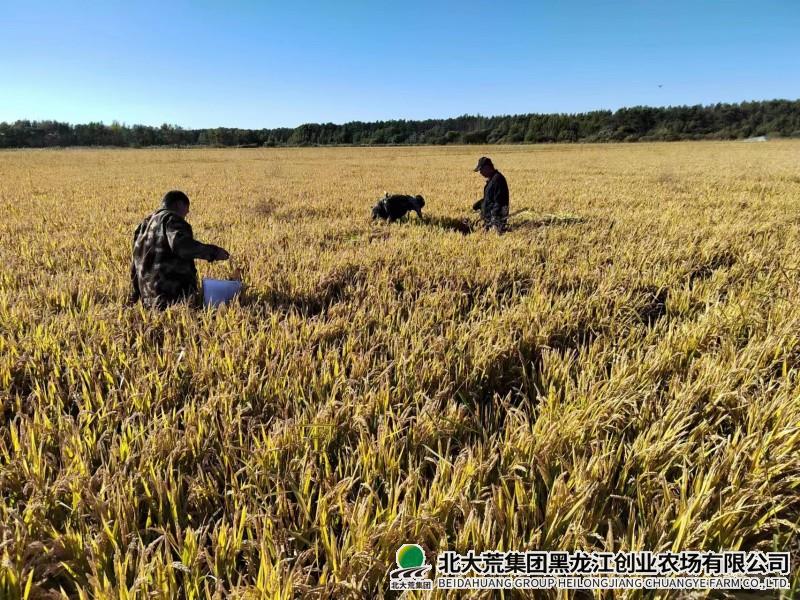 创业农场有限公司全面启动第三次全国土壤普查工作
                            (图1)