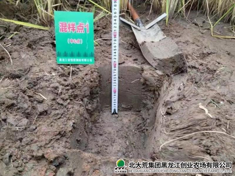 创业农场有限公司全面启动第三次全国土壤普查工作
                            (图2)