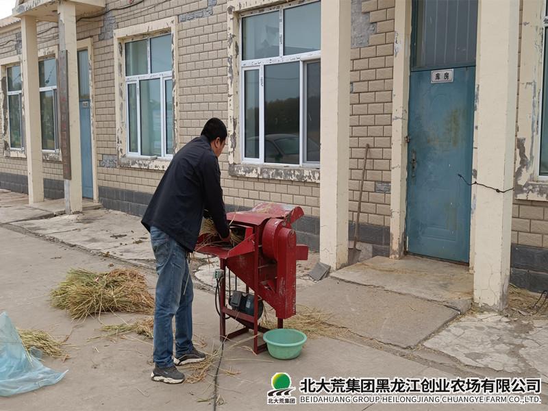 【秋收进行时】农业科技服务中心圆满完成科研试验脱谷工作
                            (图3)