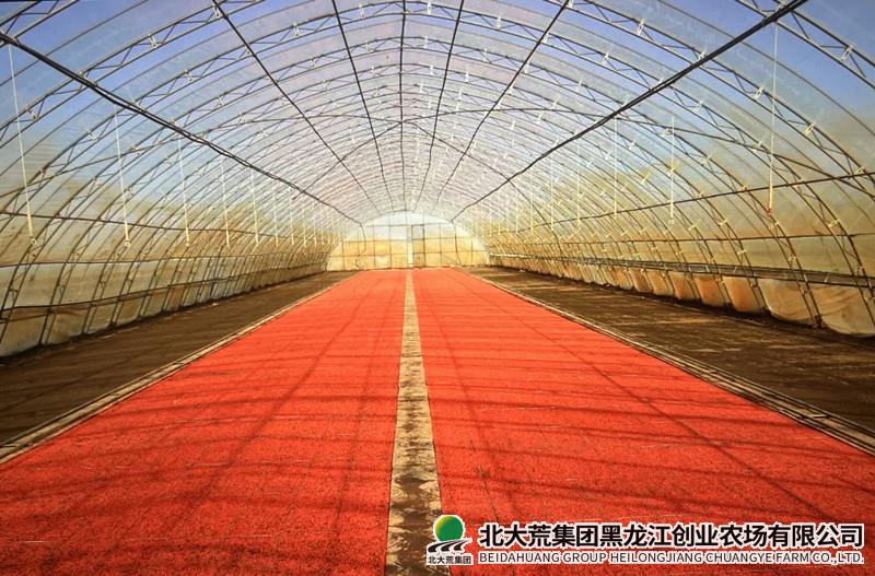 QQ图片20220404090641_副本.jpg