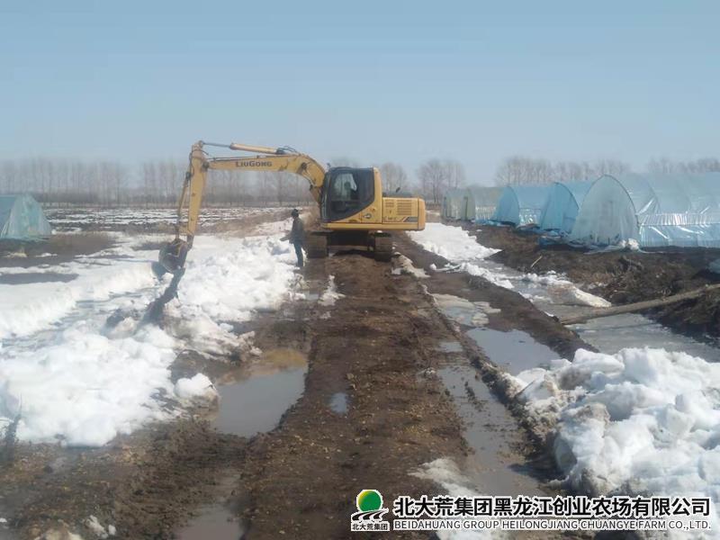 第六管理区疏浚排水 助力春播_副本.jpg