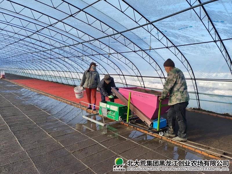 创业农场有限公司种子搬新家种下“金娃娃”
                            (图2)