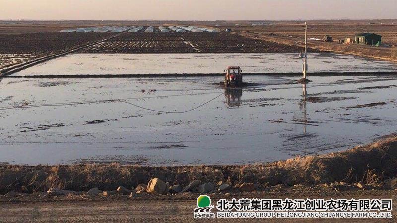胶浆.jpg
