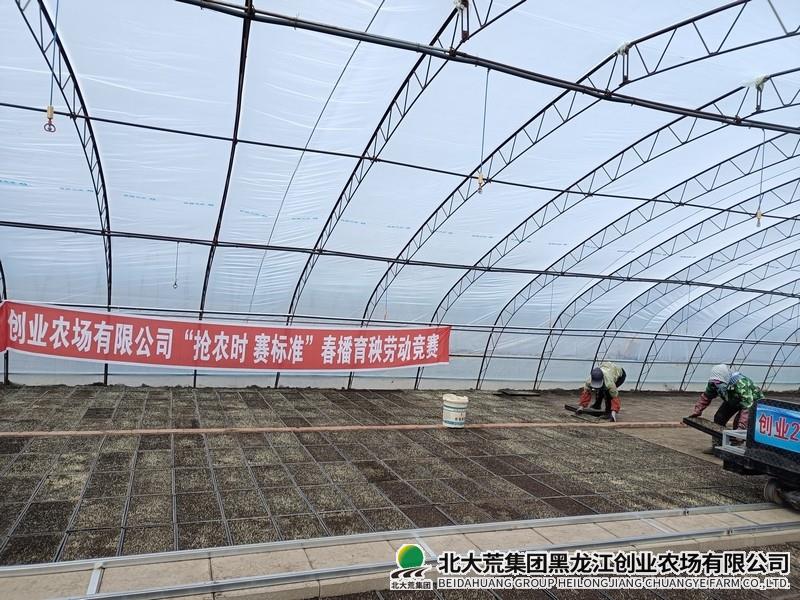 创业农场有限公司劳动竞赛助力春耕生产跑出“加速度”
                            (图2)