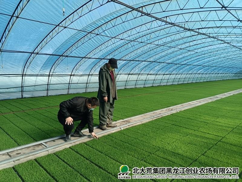 创业农场有限公司托管式“田管家”正式上线
                            (图2)