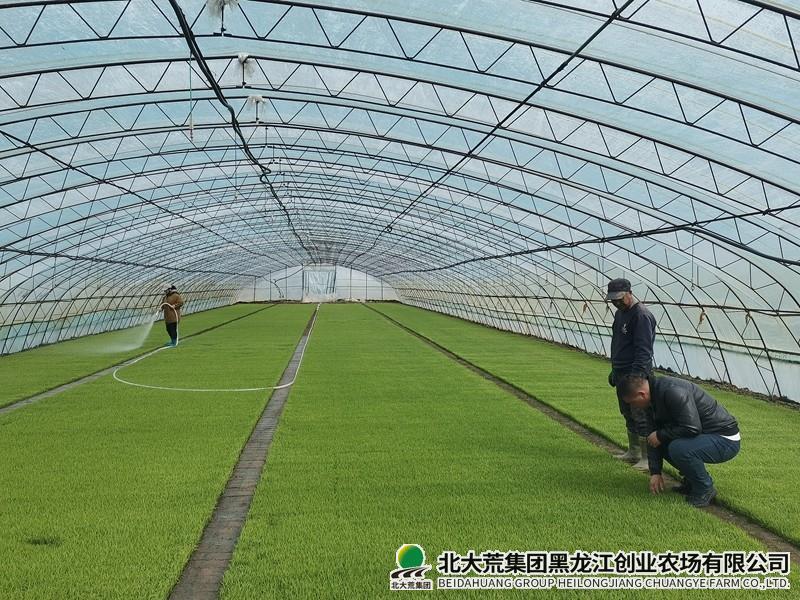 创业农场有限公司无人农场“慧”种地解决农户用工难
                            (图1)