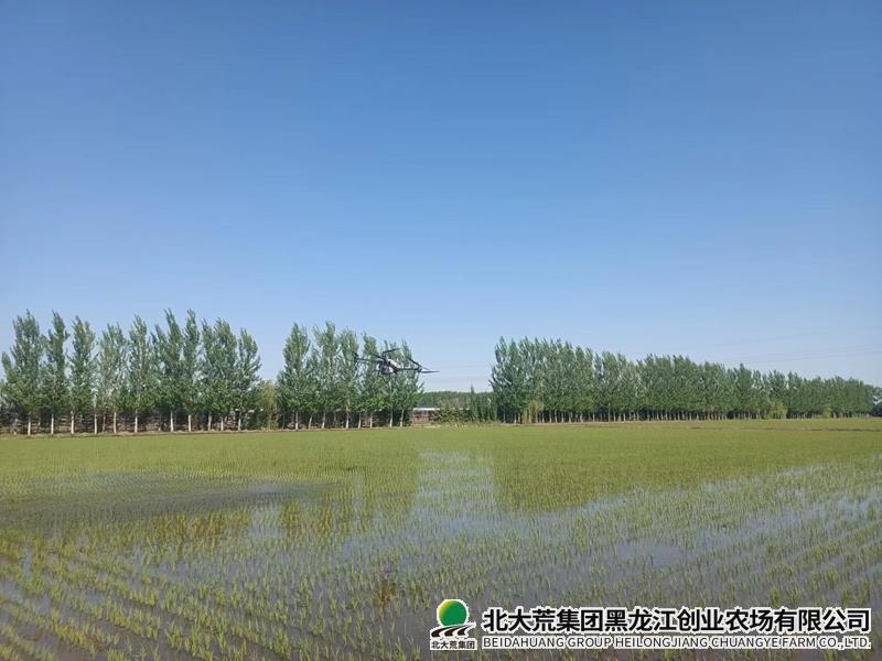 创业农场有限公司植保无人机为水稻增产插上“科技之翼”
                            (图2)